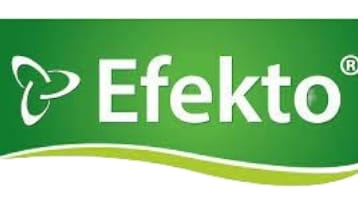 Efekto